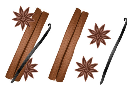 Cinnamon sticks, star anise and vanilla pods.の写真素材