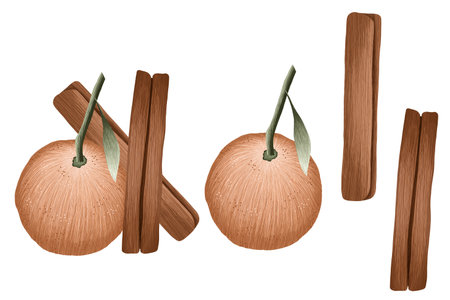 Set of cinnamon sticks. Isolated on white background.の写真素材