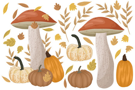 Autumn set of mushrooms, pumpkins and leaves.の写真素材