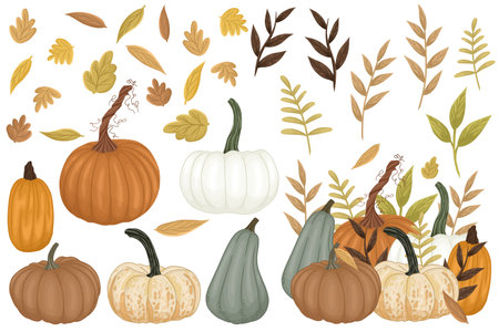 Set of pumpkins and autumn leaves on white background.の写真素材