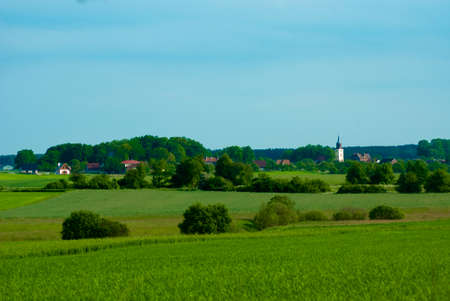 Green fildの写真素材