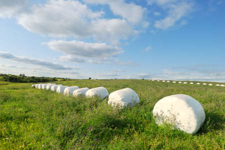 Hay bales wrapped in plastic sheetの写真素材