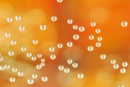 Glass of champagne with bubblesの写真素材