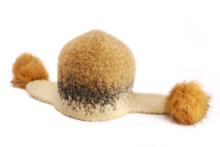 Winter wool hat with fur on white background