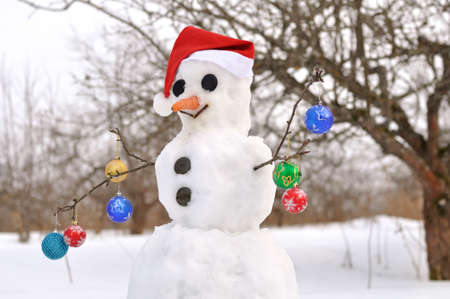 Scene with  snowman on  winter gardenの写真素材