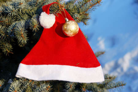 Christmas and New Year decoration - red hat and ball on fir branchesの写真素材