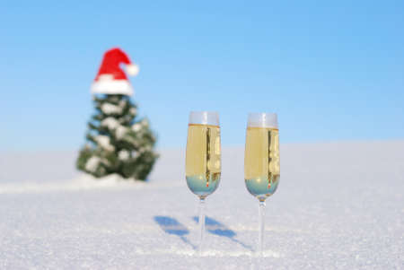 Glasses of  champagne  against christmas backgroundの写真素材