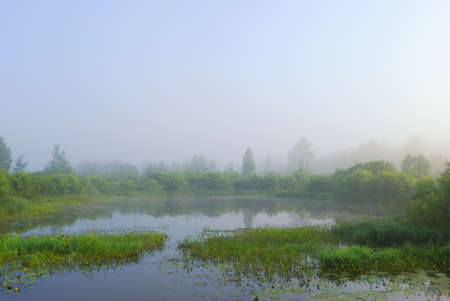 Shoot of misty morning sunrise on small pondの写真素材