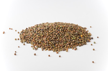 Legume Roveja seedsの写真素材