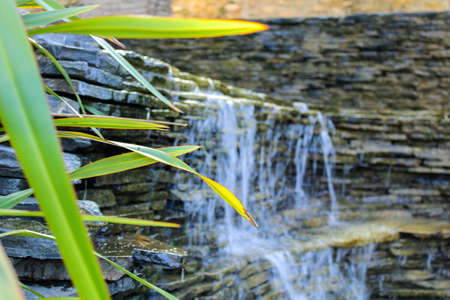 Miniature waterfall in Emirgan, Ä°stanbul. Close-up to the leaves and behind it a clear waterfall.の写真素材
