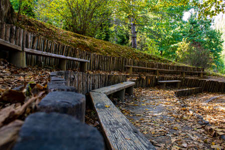 A wooden amphitheater in AtatÃ¼rk Arboretum in Ä°stanbul. Under the huge trees a resting spot and a stage.の写真素材
