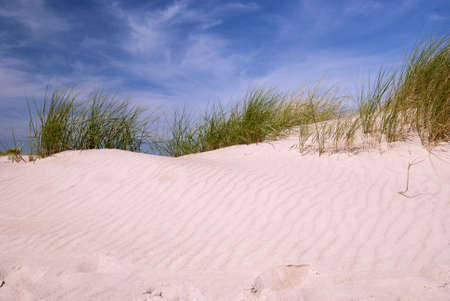 Dunes with grass and a beautifull blue skyの写真素材