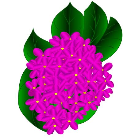fantasy branch of blossoming lilacのイラスト素材