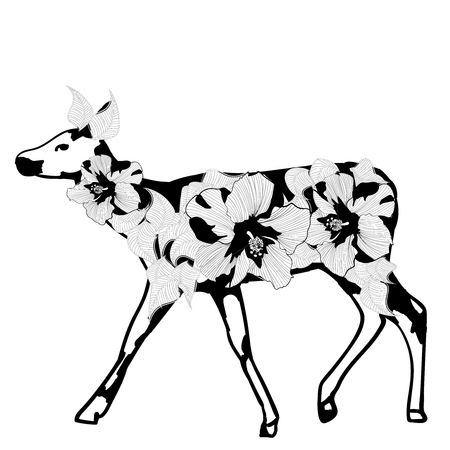 Fantasy young doe on a white backgroundのイラスト素材