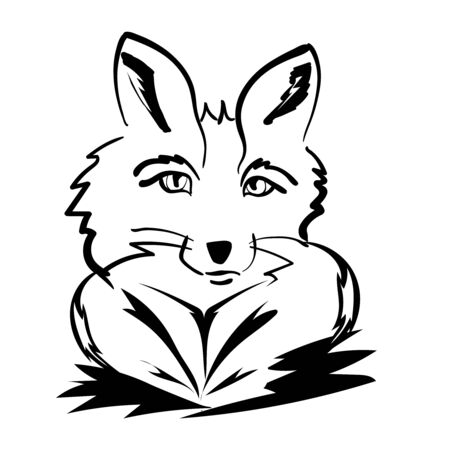 fantasy abstract portrait of a Fox on a white backgroundのイラスト素材