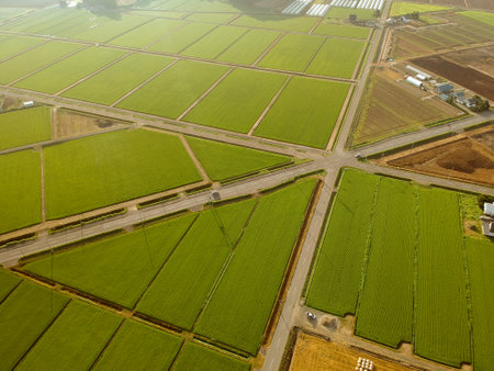 Aerial view of paddy field in the countryside of Hokkaido, Japan.
