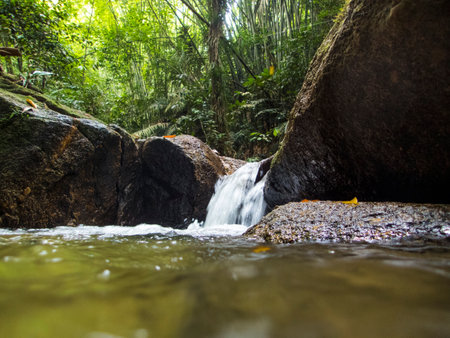 Waterfall in tropical rain forest