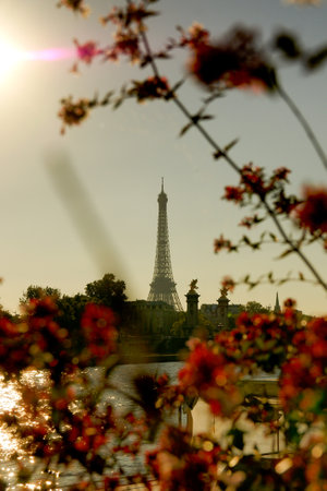 The Eiffel Tower in Paris, France during the spring season.の写真素材