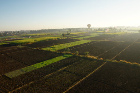 Hot Air Balloon Soaring Over Egyptian Farmlands at Sunrise, Showcasing Lush Green Fields and the Serene Rural Landscapeの写真素材