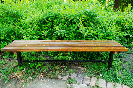 Bench in park after light rain の写真素材