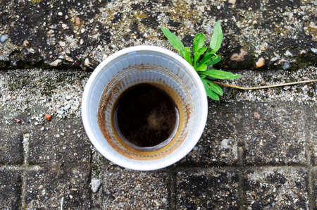 Coffe Outdoor on the stone and green plantの写真素材