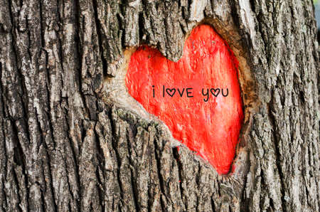 Valentineの写真素材