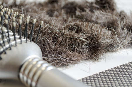 hairbrush with hair background concept hair loss and healthy Hair