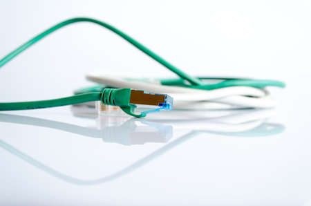 Green network cable on whiteの写真素材