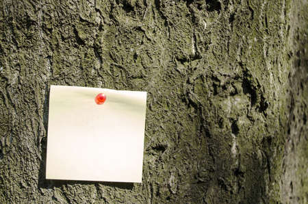 Sticky Note With Red Pin On Tree Backgroundの写真素材