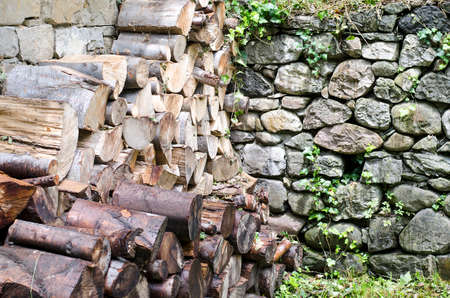 Bark Pile Patternの写真素材