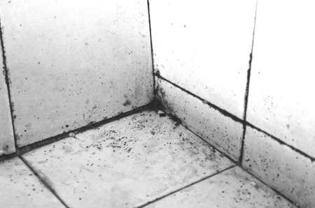 Dirty old sink in black and white themeの写真素材