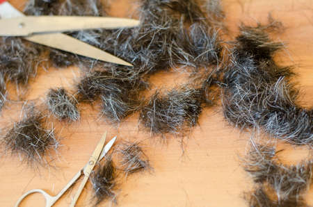 Human hair and scissors over wooden floor