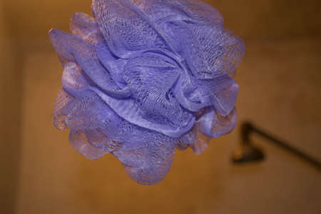 sponge and showerheadの写真素材