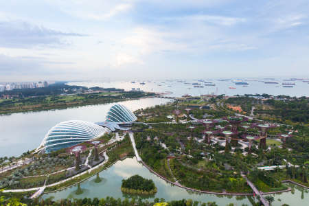 Super trees in Gardens By The Bay park, Singaporeのeditorial素材