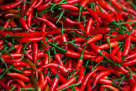 Red Chili Pepperの写真素材