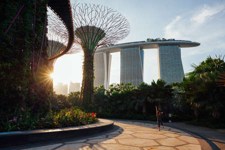 SINGAPORE, SINGAPORE - FEBRUARY 17: Tourist pose for photo at the Supertree groove at Gardens By The Bay on 17, 2016 in Singapore.のeditorial素材