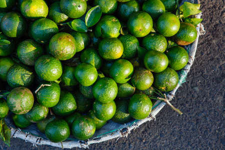 Basket with fresh limes at the street market, Vietnamの写真素材