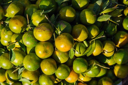 Basket with fresh limes at the street market, Vietnamの写真素材