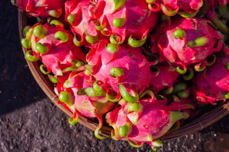A basket with dragon fruits at a street market, Vietnamの写真素材