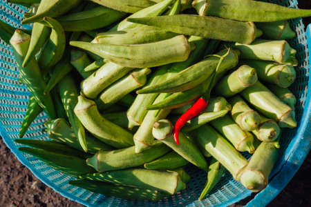 Vegetables at the street market, Vietnamの写真素材