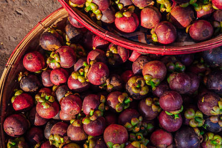 A basket with Mangosteen fruits at a street market, Vietnamの写真素材