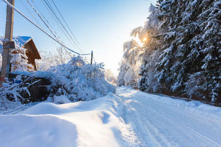 Beautiful winter landscape after a snowfall, Moscow Oblast, Russiaの写真素材