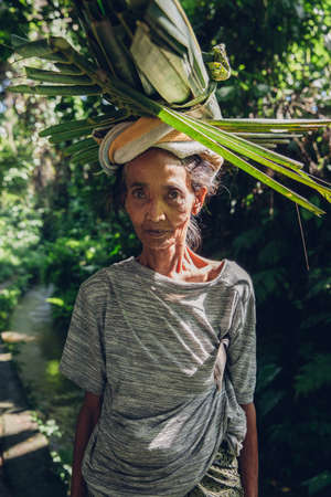 Portrait of senior Balinese woman carrying leafs on the head, Ubud, Bali, Indonesia.のeditorial素材