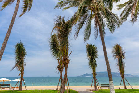 The Nha Trang Beach on a sunny day, the popular tourist destination in Vietnamの写真素材