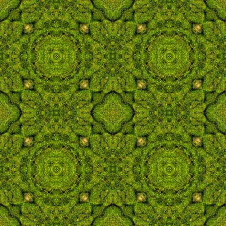 Abstract decorative green moss background. Seamless pattern.の写真素材