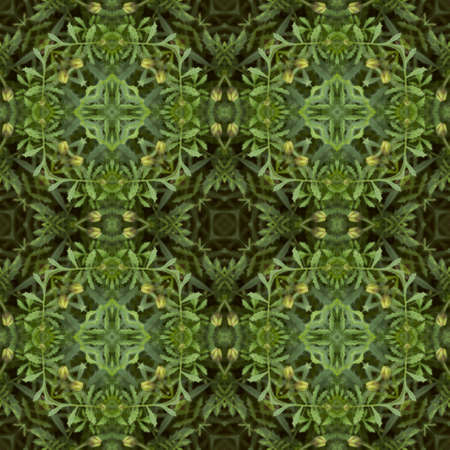 Abstract decorative plant background. Seamless colorful pattern.の写真素材