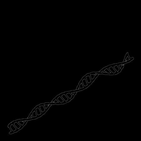 DNA spiral. Isolated on black background. Vector outline illustration.のイラスト素材