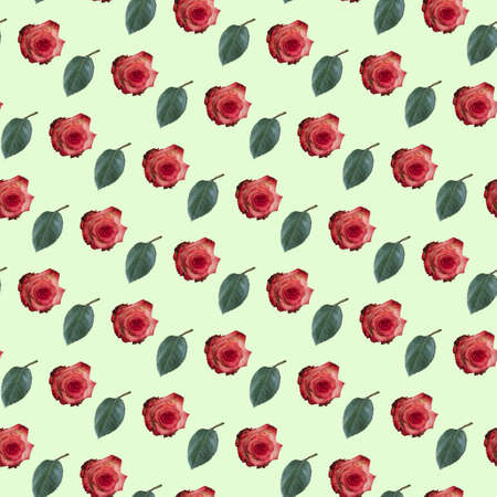 Decorative flower background. Seamless colorful pattern.Rose.の写真素材