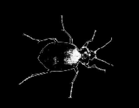 Bug. Isolated on black background. Vector illustration. Halftone style.のイラスト素材