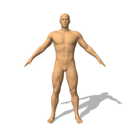 Standing man. Isolated on white background. 3d vector illustration. Front view.のイラスト素材
